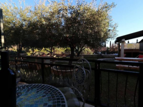 Apartments Trstenica-One Bedroom Apartment with Terrace A